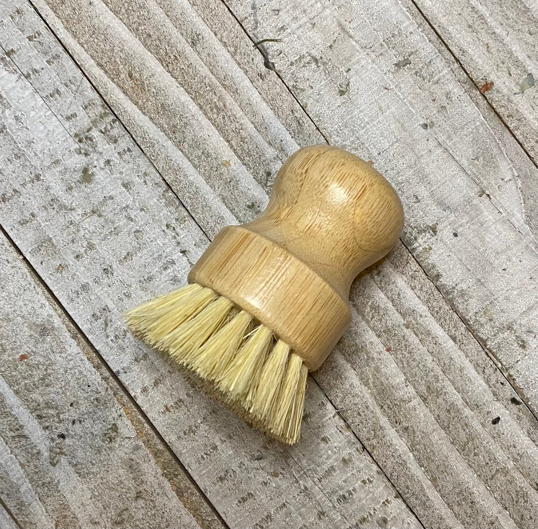 Dish Brush